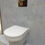 Wall hung toilet & frame Image 2