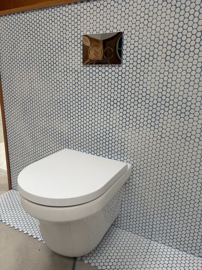 Wall hung toilet & frame