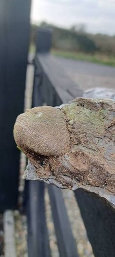 old fossil