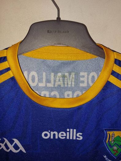 wicklow gaa jersey