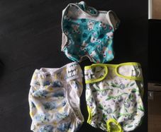 Reusable dog nappies