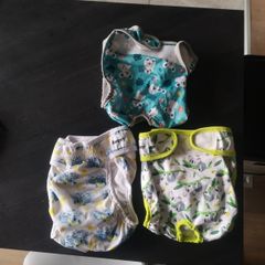 Reusable dog nappies
