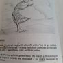 vintage Gaeilge  book 1990 Image 3