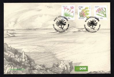 2008 Ireland Irish Wild Flowers Stamps Sixth Definitive Stamps (20c Thrift, 50c Biting stonecrop & 82c Sea aster) An Post First Day Cover (FDC)