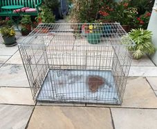 XL dog Crate