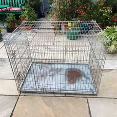 XL dog Crate