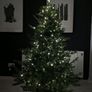 Xmas tree Image 6