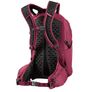 Gregory hiking 22l backpack & 2l hydration pack Image 2