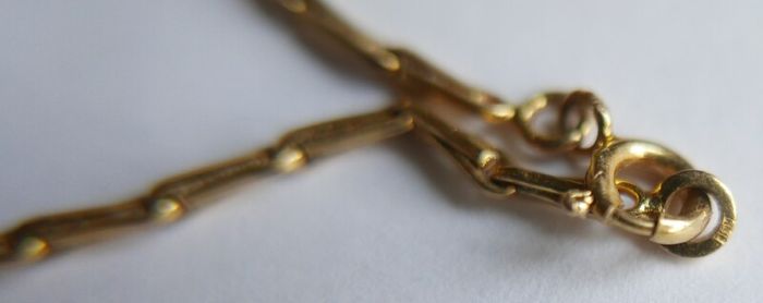 Antique Gold Filled Hayseed Chain Necklace and Pendant length 12"