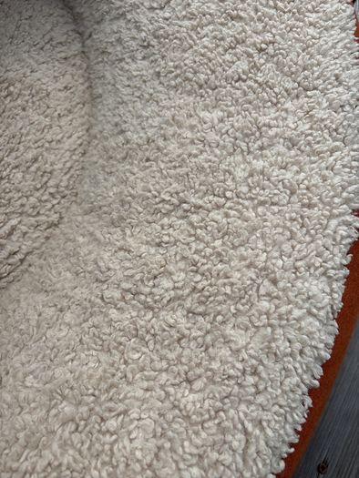 dog bed