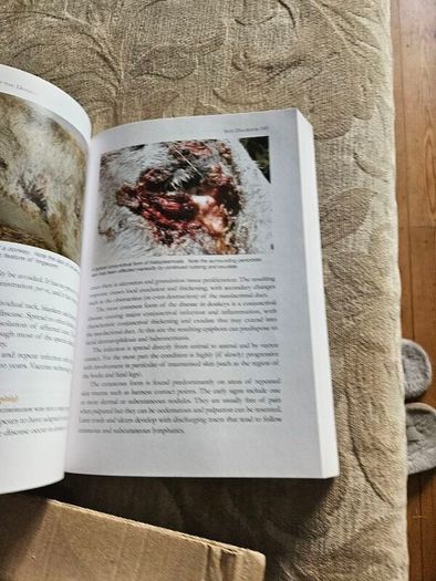 The Professional Handbook Of The Donkey. 4th Edition.  By Dr Elizabeth D. Svendsen. Edited By Professor James Duncan. In Good Condition.  See Photos For Same.