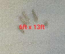 carpet 6ft x 13ft