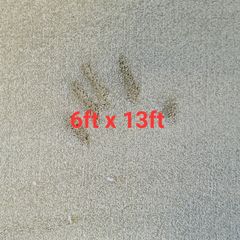 carpet 6ft x 13ft