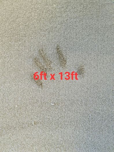 carpet 6ft x 13ft