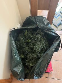 5ft christmas tree