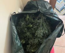 5ft christmas tree