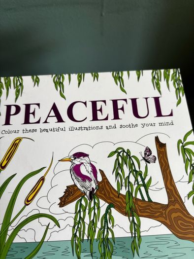 Adults and Children - A Large Selection of Art Material, Table Top Easels, Sketch Pads, Mindfulness Books, Acrylic Paints, Charcoal pencils, Pastels, Calligraphy etc etc