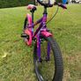 Drag Rush 20 Bicycle RRP 285.95 Image 3