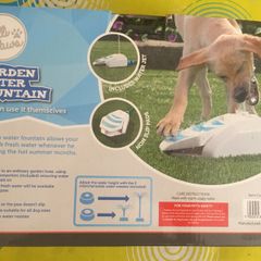 New Dog Water fountain