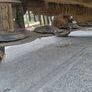 Mower Image 4