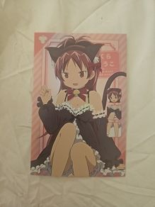 Madoka Magical Girl Rainbow Card