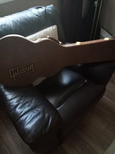 Gibson case