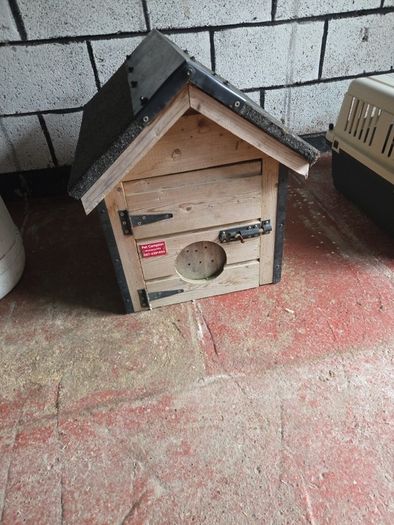 dog house
