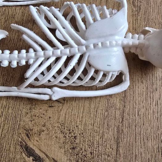 Rubber mini skeleton 30cm
