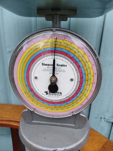 intage Industrial Salter coin scales