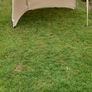 Gazebo Image 3