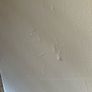 insulated plaster board Image 3