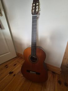 Guitar Vantage VSC-30
