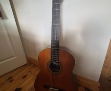 Guitar Vantage VSC-30