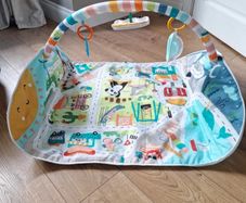 Fisher Price Activity Play Mat
