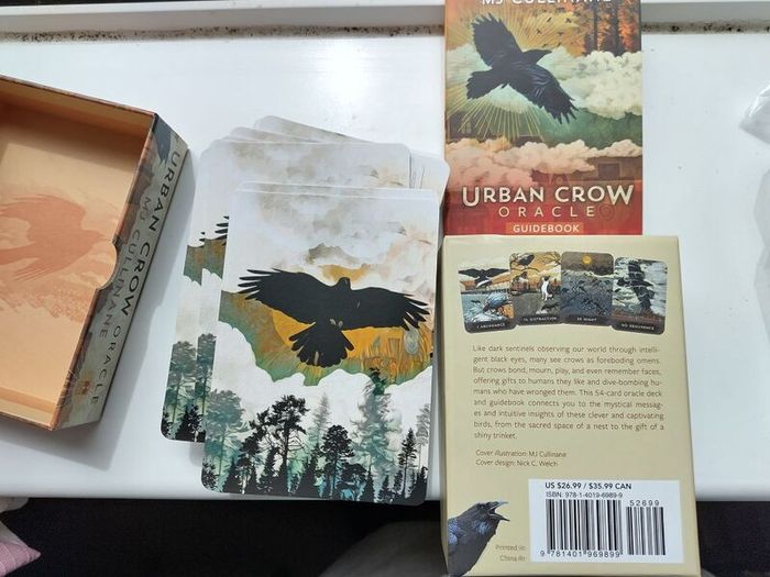 urban crow oracle cards