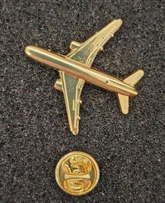Avation/ aircraft,  pin back badge.