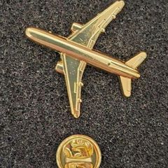 Avation/ aircraft,  pin back badge.