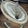 Maxi Cosi Swing Image 3