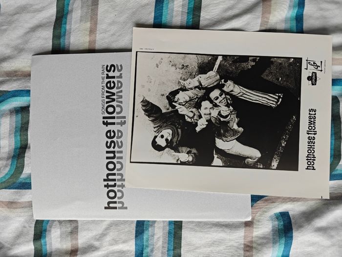 Hothouse Flowers Press Release Promo Photo