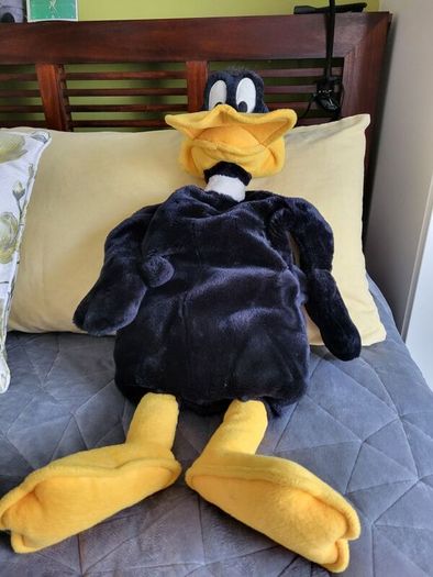 Daffy Duck Pyjama Case