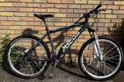 Focus MTB