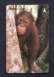 Singapore 10 Singapore Telecom Orang-Utan (GPT - Magnetic) Phone card