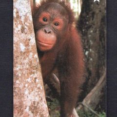 Singapore 10 Singapore Telecom Orang-Utan (GPT - Magnetic) Phone card