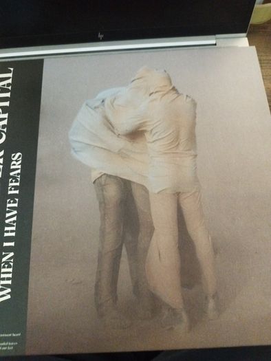 The Murder Capital When I have fears lp