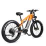 Randride YX80 Electric Bike Image 4