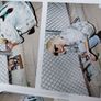 Lady Gaga Book Image 7