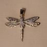 Silver Dragonfly Image 2