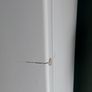 Fridge Image 6