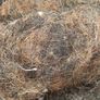 Description: Job lot of vintage horsehair and natural upholstery stuffing, split across 8.5 black bin bags. Image 3