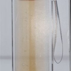 Drinks bottle with tea strainer